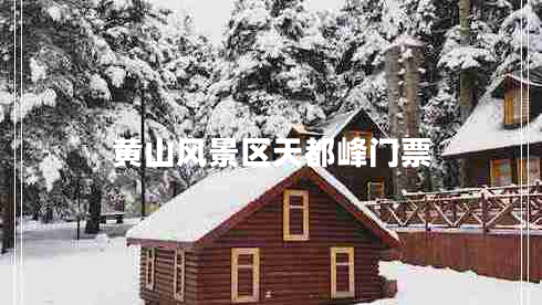 黃山風(fēng)景區天都峰門(mén)票