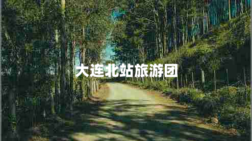 大連北站旅游團