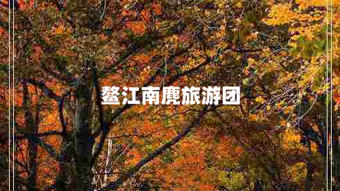 鰲江南麂旅游團