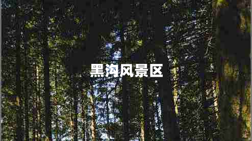黑溝風(fēng)景區