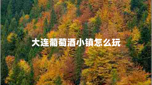 大連葡萄酒小鎮怎么玩