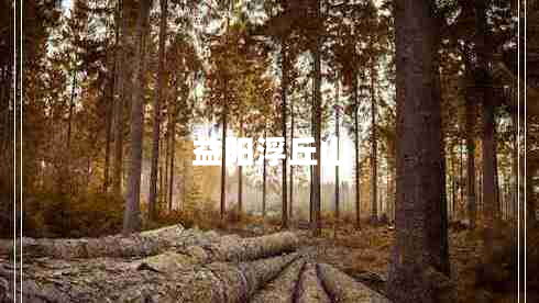 益陽(yáng)浮丘山
