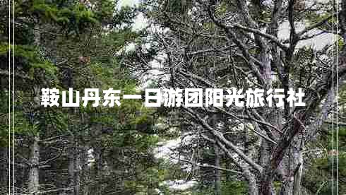 鞍山丹東一日游團陽(yáng)光旅行社