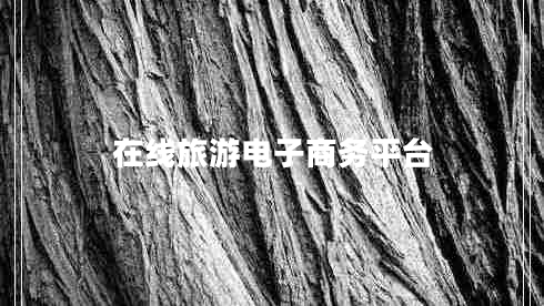 在線(xiàn)旅游電子商務(wù)平臺