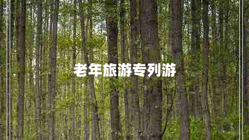 老年旅游專(zhuān)列游