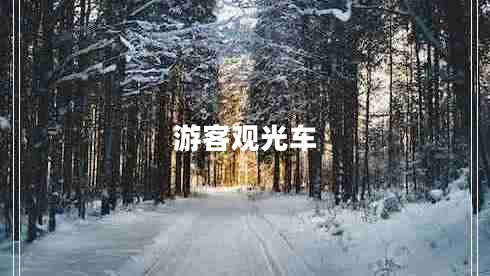 游客觀(guān)光車(chē)