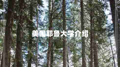 美國耶魯大學(xué)介紹