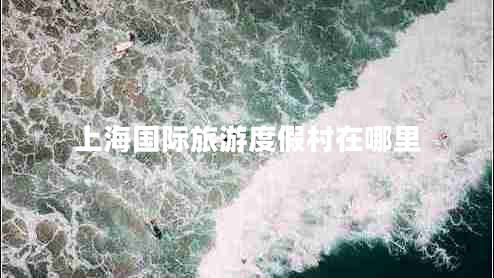 上海國際旅游度假村在哪里