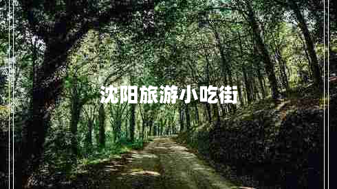 沈陽(yáng)旅游小吃街