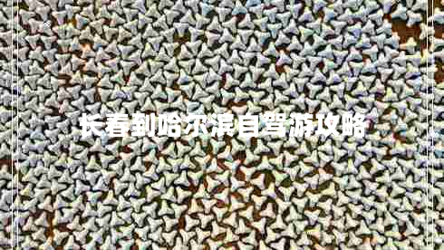 長(cháng)春到哈爾濱自駕游攻略