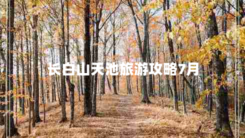長(cháng)白山天池旅游攻略7月