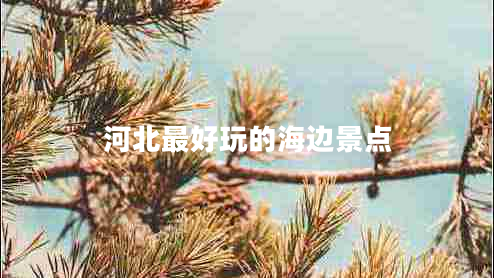 河北最好玩的海邊景點(diǎn)