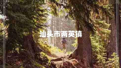 汕頭市兩英鎮