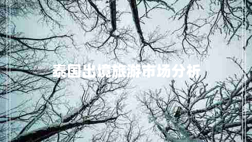 泰國出境旅游市場(chǎng)分析