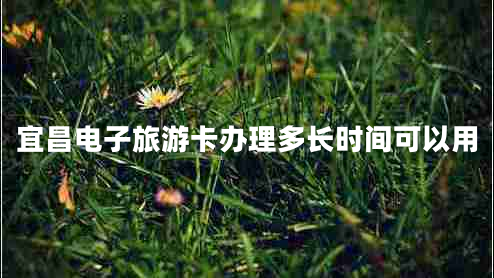 宜昌電子旅游卡辦理多長(cháng)時(shí)間可以用