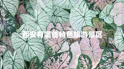 西安有哪些特色旅游景區
