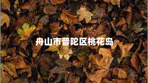 舟山市普陀區桃花島