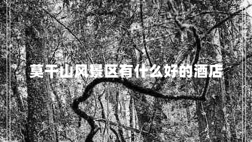 莫干山風(fēng)景區有什么好的酒店