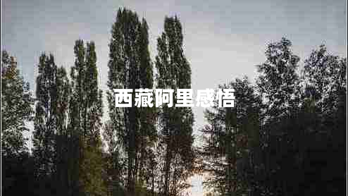西藏阿里感悟