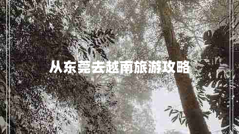 從東莞去越南旅游攻略