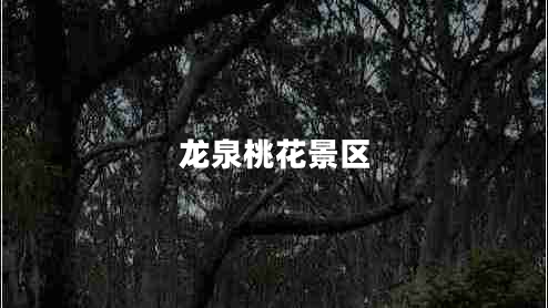 龍泉桃花景區