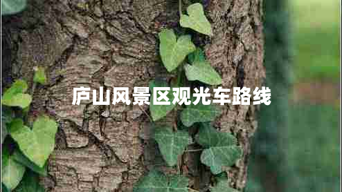 廬山風(fēng)景區觀(guān)光車(chē)路線(xiàn)