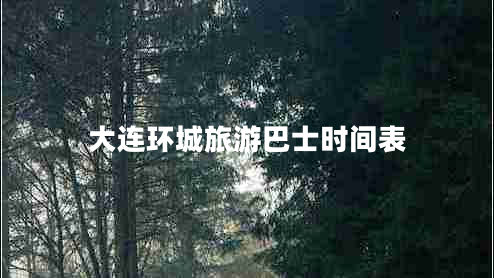 大連環(huán)城旅游巴士時(shí)間表