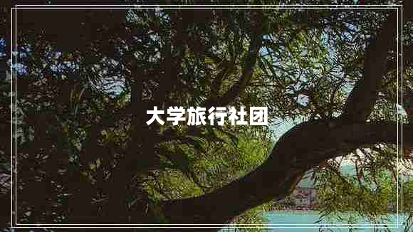大學(xué)旅行社團