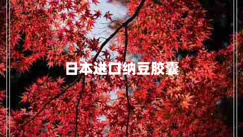 日本進(jìn)口納豆膠囊