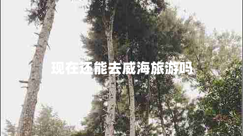 現在還能去威海旅游嗎