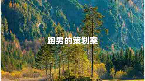 跑男的策劃案