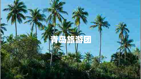青島旅游團
