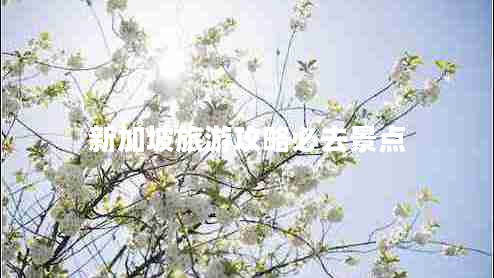 新加坡旅游攻略必去景點