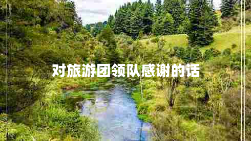 對旅游團領(lǐng)隊感謝的話(huà)