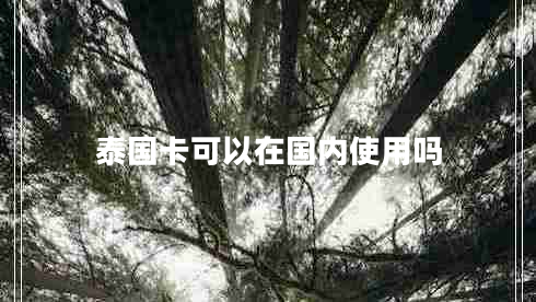 泰國卡可以在國內使用嗎