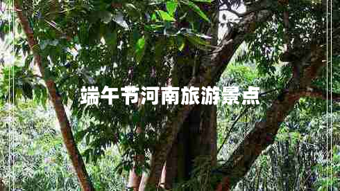 端午節河南旅游景點(diǎn)