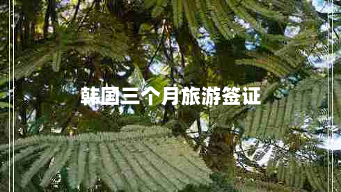 韓國三個(gè)月旅游簽證