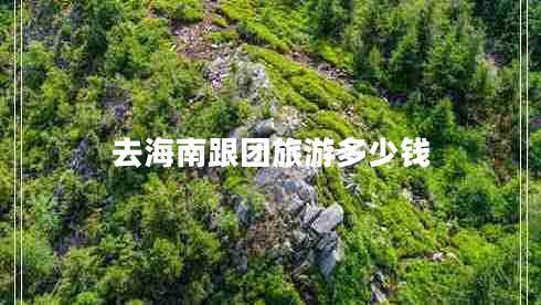 去海南跟團旅游多少錢(qián)