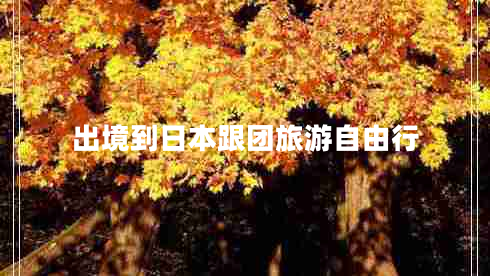 出境到日本跟團旅游自由行