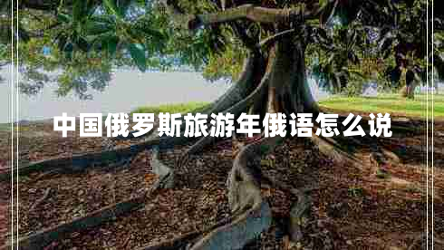 中國俄羅斯旅游年俄語(yǔ)怎么說(shuō)