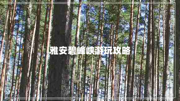 雅安碧峰峽游玩攻略