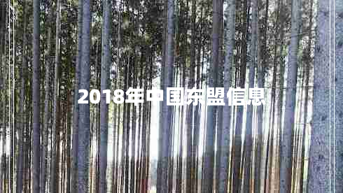 2018年中國東盟信息