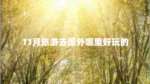 11月旅游去國外哪里好玩的