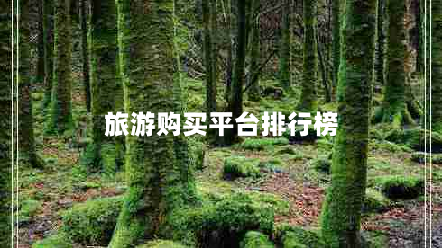 旅游購買(mǎi)平臺排行榜