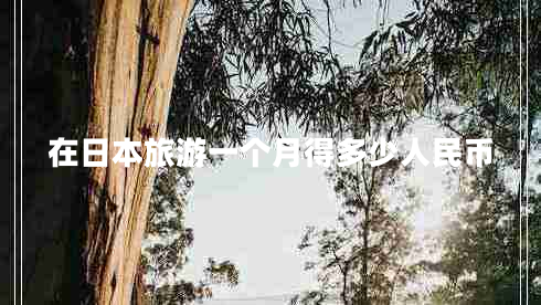 在日本旅游一個(gè)月得多少人民幣