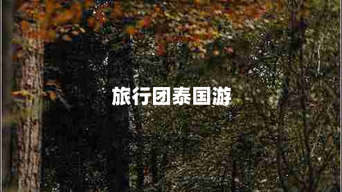 旅行團泰國游