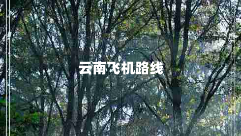云南飛機路線(xiàn)