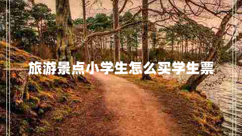 旅游景點(diǎn)小學(xué)生怎么買(mǎi)學(xué)生票