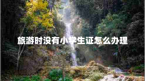 旅游時(shí)沒(méi)有小學(xué)生證怎么辦理