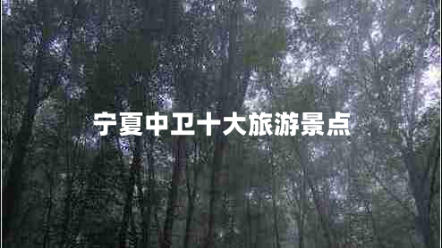 寧夏中衛十大旅游景點(diǎn)